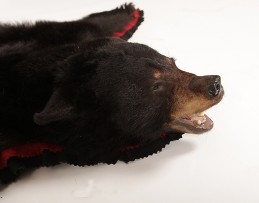 bearrug3